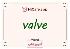 Meaning and usage of valve word