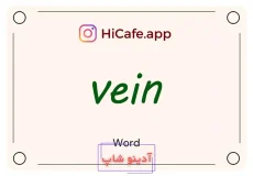 Meaning and usage of vein word