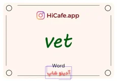 Meaning and usage of vet word
