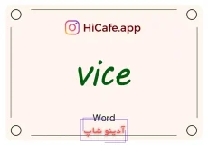 Meaning and usage of vice word