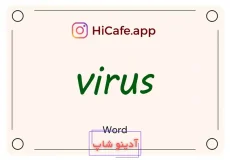 Meaning and usage of virus word