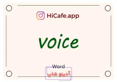 Meaning and usage of voice word