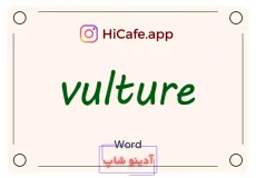 Meaning and usage of vulture word