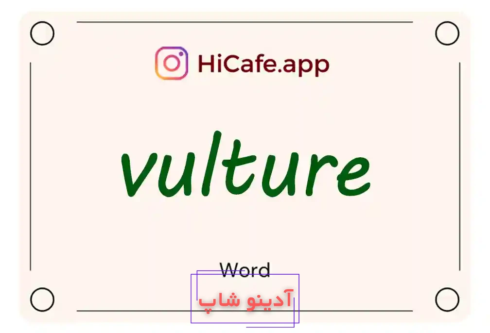 Meaning and usage of vulture word