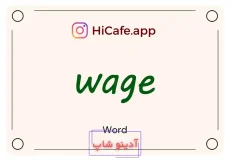 Meaning and usage of wage word