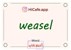 Meaning and usage of weasel word