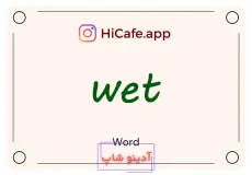 Meaning and usage of wet word