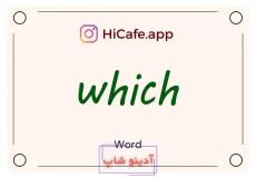 Meaning and usage of which word