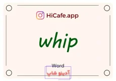 Meaning and usage of whip word