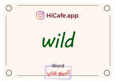 Meaning and usage of wild word