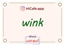 Meaning and usage of wink word