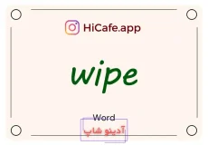 Meaning and usage of wipe word