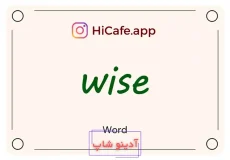 Meaning and usage of wise word