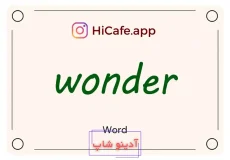 Meaning and usage of wonder word