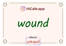 Meaning and usage of wound word