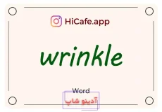 Meaning and usage of wrinkle word