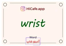 Meaning and usage of wrist word