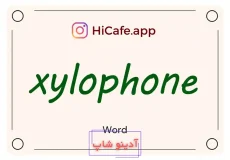 Meaning and usage of xylophone word