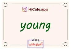 Meaning and usage of young word
