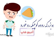 روده بزرگه روده کوچیکه رو خورد