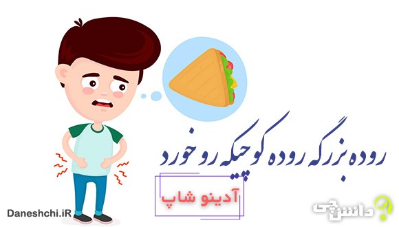 روده بزرگه روده کوچیکه رو خورد