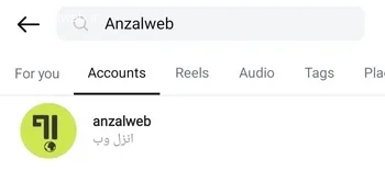 جستجوی دقیق نام کاربری علت پیدا نشدن افراد در سرچ اینستاگرام