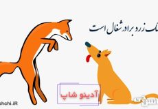 سگ زرد برادر شغال است