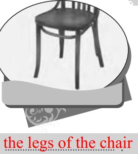 جواب صفحه 24 کتاب کار زبان نهم