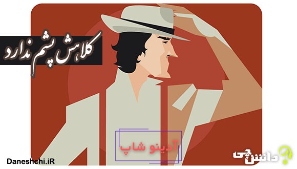 كلاهش پشم ندارد یعنی چه؟