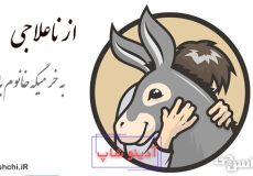 از ناعلاجی به خر میگه خانوم باجی