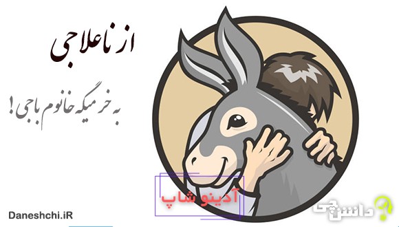 از ناعلاجی به خر میگه خانوم باجی