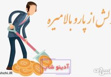 ضرب المثل پولش از پارو بالا میره