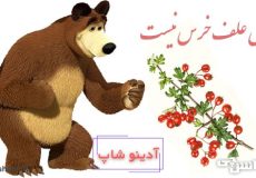 ضرب المثل پول علف خرس نیست