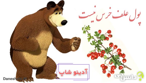 ضرب المثل پول علف خرس نیست