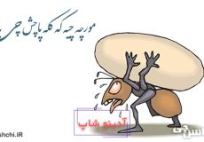 معنی مورچه چیه که کله پاچش چی باشه
