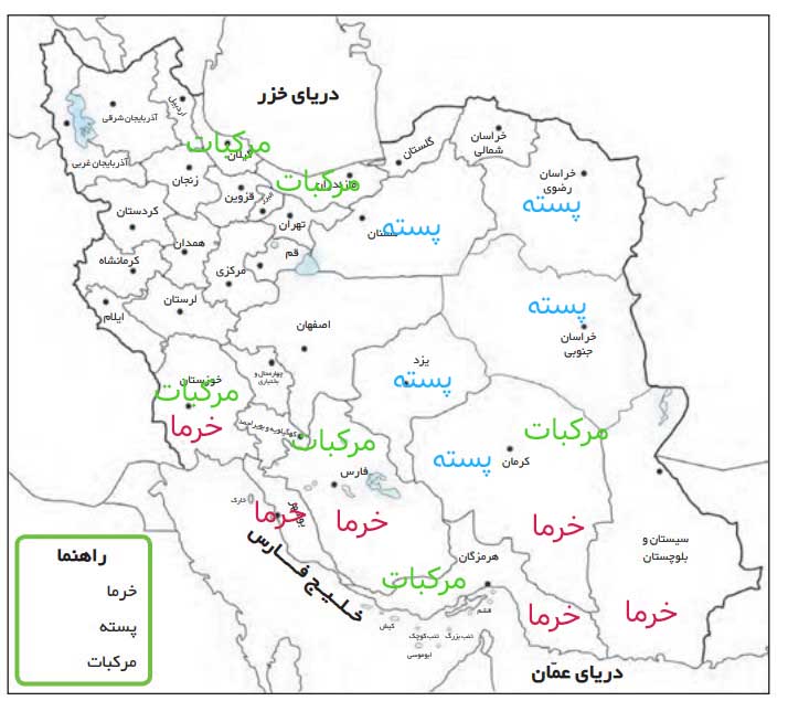 کاربگه شماره 8