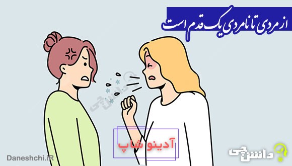 ضرب المثل از مردی تا نامردی یک قدم است