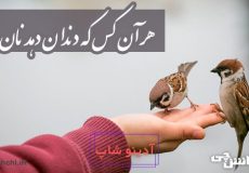 ضرب المثل هرآنکس که دندان دهد نان دهد