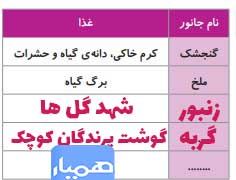 جواب جمع آوری اطلاعات درس سیزدهم علوم چهارم