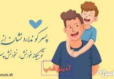 معنی ضرب المثل پسر کو ندارد نشان از پدر