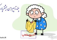 ضرب المثل چند تا پیراهن بیشتر پاره کرده
