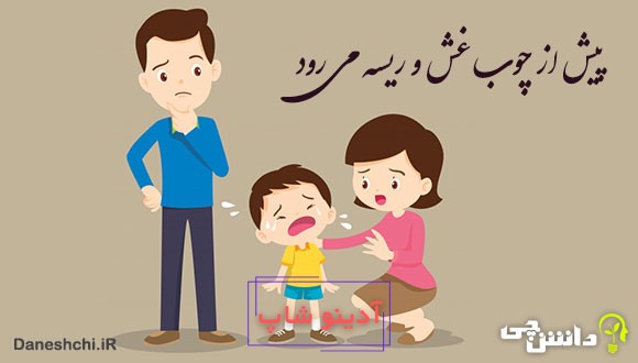 معنی پیش از چوب غش و ریسه می رود