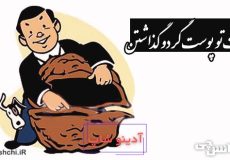 دست تو پوست گردو گذاشتن