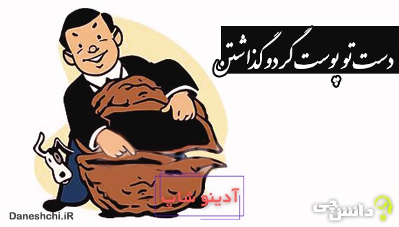 دست تو پوست گردو گذاشتن