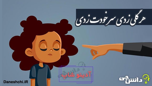 ضرب المثل هر گلی زدی سر خودت زدی