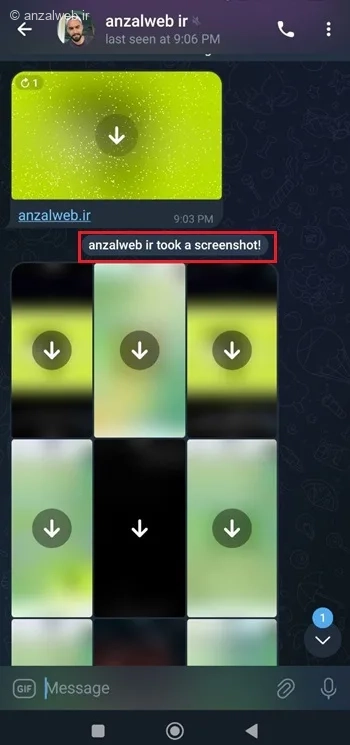 ارسال عکس تایمردار در تلگرام ایفون