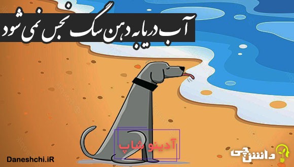 آب دریا به دهن سگ نجس نمی‌ شود