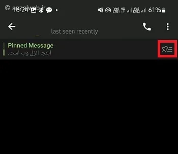 دیدن همه پیام‌های پین شده