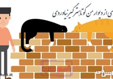 معنی دیواری از دیوار من کوتاهتر گیر نیاوردی