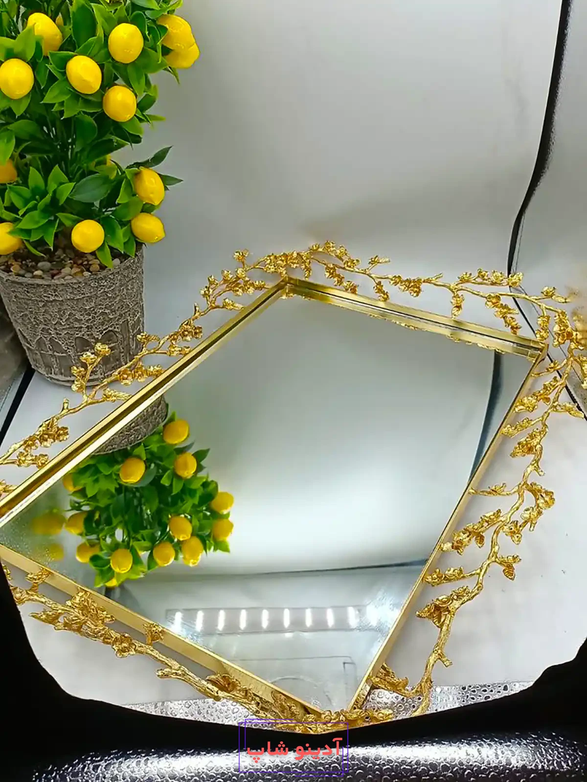سینی شیک پذیرایی